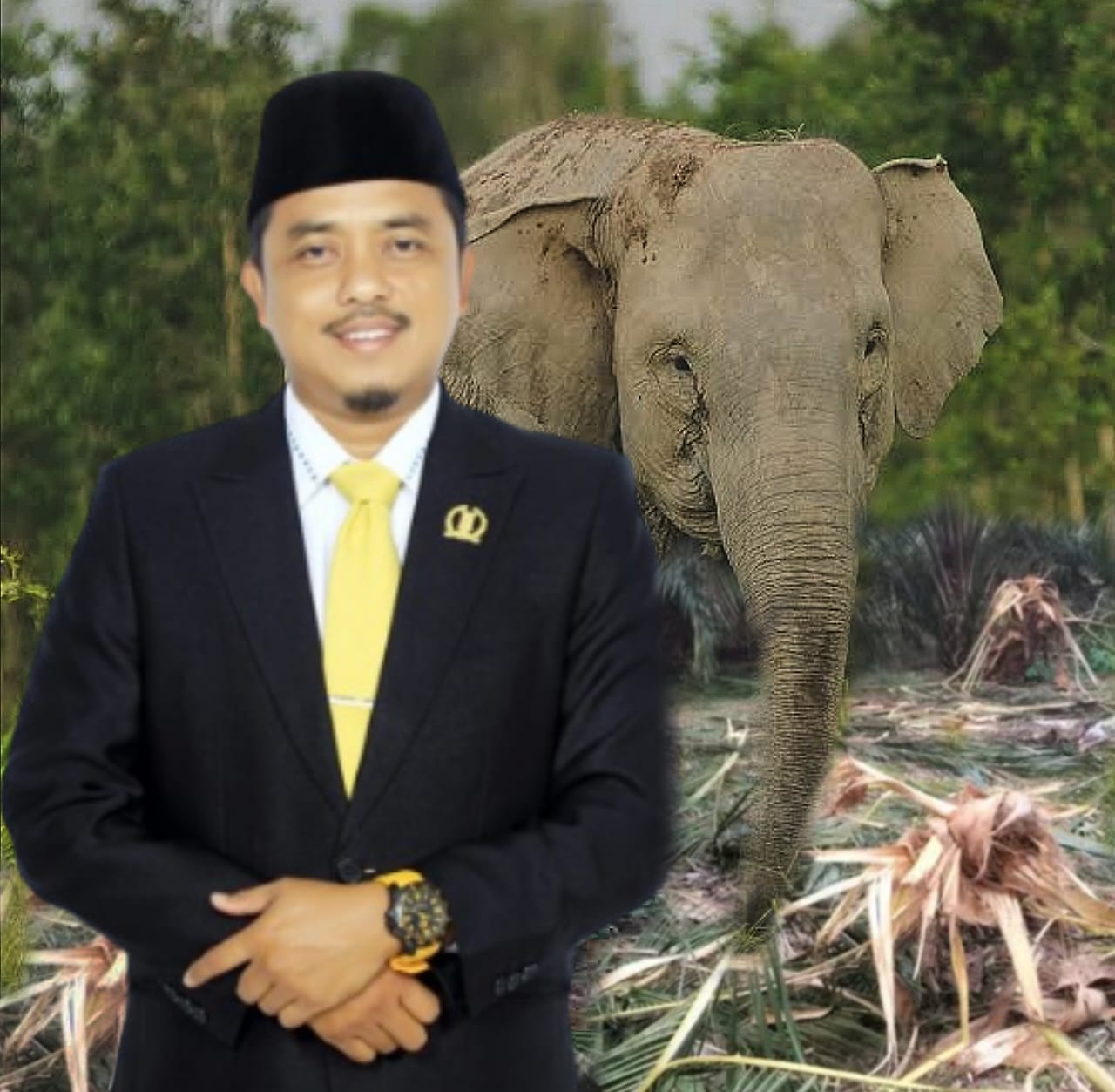 Gajah Rusak Kebun Masyarakat di Kampar, Repol: Kita Harap Semua Pihak Satu Persepsi