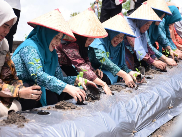 Ricana Djayanti Hambali Dampingi Ketua TP PKK Riau Zuliana Rahman Hadi Tinjau Kebun Cabe Stanum