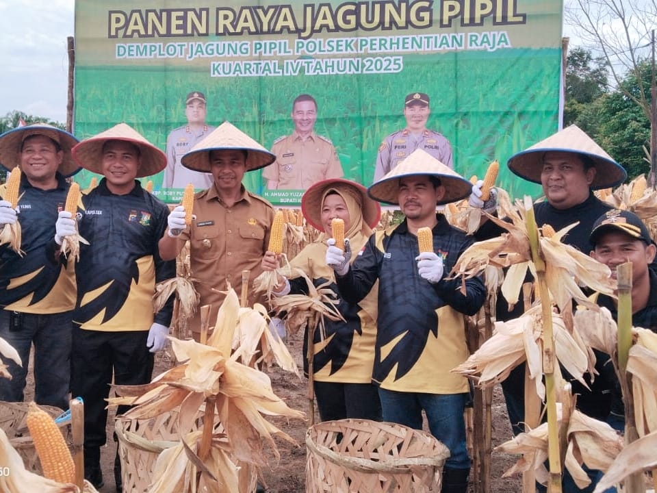 Waket DPRD Kampar Iib Nursaleh: Panen Jagung di Perhentian Raja Bukan Sekadar Seremoni