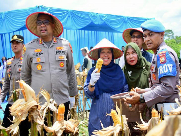 Bupati Kampar Tekankan Swasembada Pangan saat Panen Raya Jagung di Ridan Permai